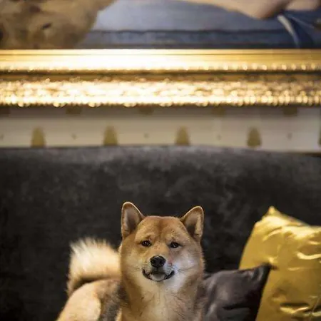 Hotel Eiffel Petit Louvre Paris